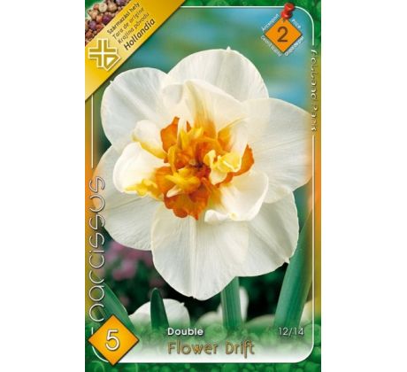 Narcissus Double - Flower Drift