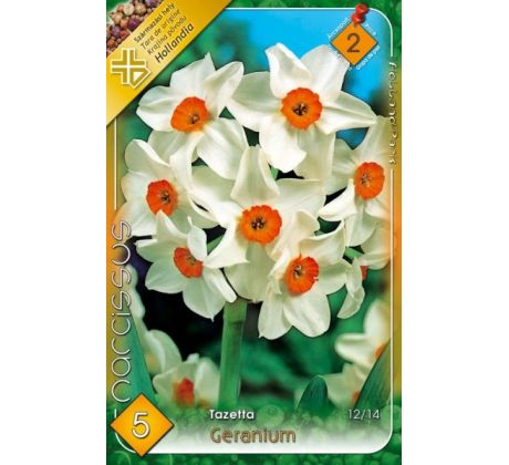 Narcissi Tazetta - Geranium