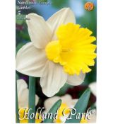 Narcissi Trumpet - Goblet