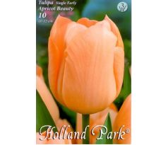 Tulipa Single Early - Apricot Beauty