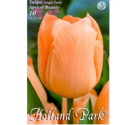 Tulipa Single Early - Apricot Beauty