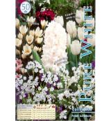 Collection - Pure white