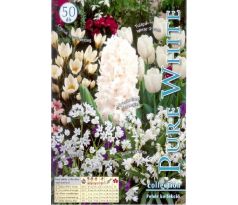 Collection - Pure white