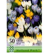 Crocus spring flow. mixed 50