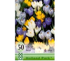 Crocus spring flow. mixed 50