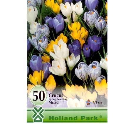 Crocus spring flow. mixed 50