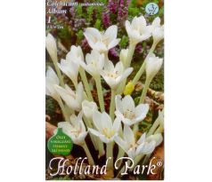 Colchicum autumnale - Album/Jesienka