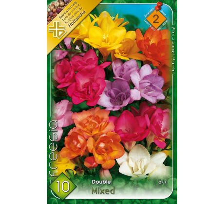Freesia double mixed / 10ks v balení