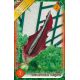 Dracunculus Vulgaris