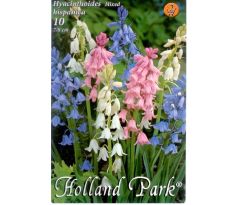 Hyacinthoides hispanica mix