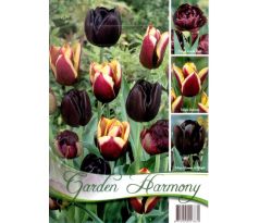 Tulipány BLACK