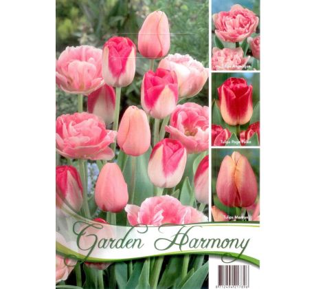 Tulipány PINK