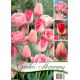 Tulipány PINK