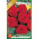 Begonia double large - Red
