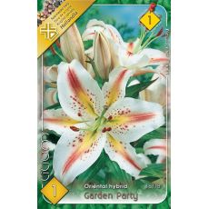 Lilium - Garden Party