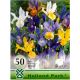 Iris - mixed 50 ks