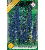 Aconitum blue