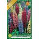 Lupinus mixed