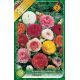 Ranunculus asiaticus - mixed
