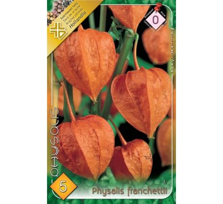 Physalis