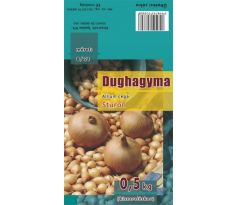 Cibuľa sadzačka STURON 0,5kg