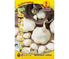 Cesnak - MAKOI jarný