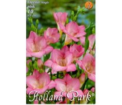 Freesia Pink